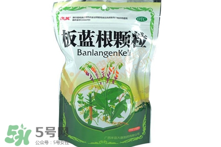 喝板藍(lán)根會胖嗎？板藍(lán)根喝多了會長胖嗎？