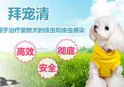 拜寵清要怎么喂？拜寵清驅蟲藥說明書