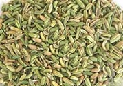 小茴香是孜然嗎？小茴香和孜然的區(qū)別