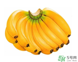 香蕉一天吃幾個(gè)最好？一天吃幾根香蕉最好？