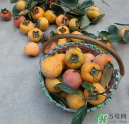 柿子長(zhǎng)白點(diǎn)還能吃嗎？柿子上有白點(diǎn)能吃嗎？