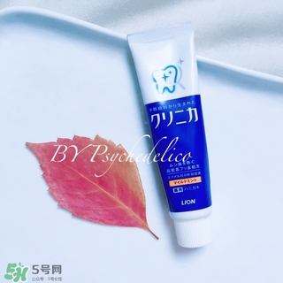 獅王牙膏保質(zhì)期怎么看？獅王牙膏保質(zhì)期是多久？