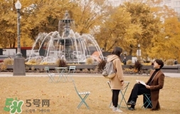 也許星星會帶走你的悲傷多少錢？也許星星會帶走你的悲傷價格