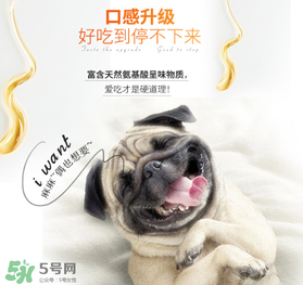 狗狗營養(yǎng)膏什么牌子好？狗狗營養(yǎng)膏多少錢？