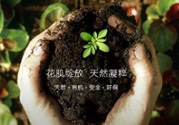 花肌粹護膚品怎么樣？花肌粹護膚品含激素嗎？