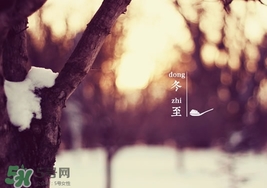 冬至要上墳嗎？冬至為什么要上墳？