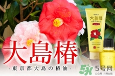 大島椿護(hù)發(fā)精油能涂臉嗎？大島椿發(fā)油的身體護(hù)理用法