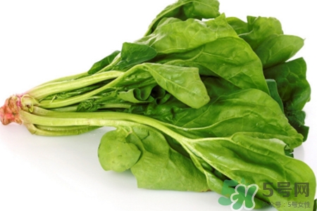 菠菜熱量高嗎？菠菜吃多了會發(fā)胖嗎？