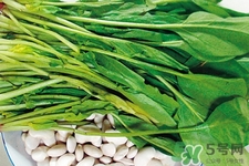 菠菜熱量高嗎？菠菜吃多了會發(fā)胖嗎？