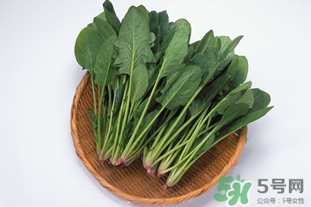 吃菠菜能減肥嗎？3日菠菜減肥食譜減肥不反彈