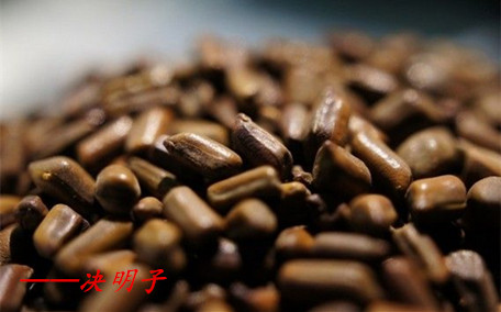 決明子怎樣喝減肥 決明子有減肥作用嗎