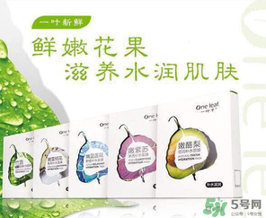一葉子是哪個國家的？一葉子面膜是哪個國家的？