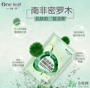 一葉子是哪個國家的？一葉子面膜是哪個國家的？