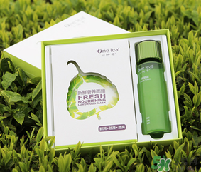 一葉子面膜怎么用？一葉子面膜使用方法