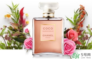 香奈兒黑coco香水和白coco香水哪個好？香奈兒黑可可和白可可選擇