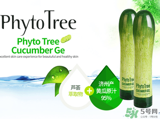 姬存希黃瓜膠多少錢？姬存希黃瓜膠價(jià)格