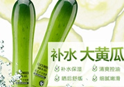 姬存希黃瓜膠多少錢？姬存希黃瓜膠價格