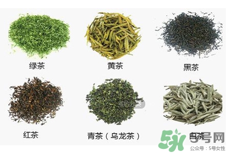 吃完飯能馬上喝茶嗎？飯前喝茶好還是飯后喝茶好？