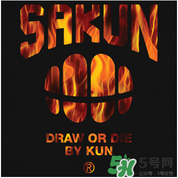 sakun是大品牌嗎？sakun是什么牌子