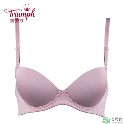 黛安芬內(nèi)衣怎么樣？黛安芬內(nèi)衣價(jià)格圖片