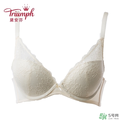 黛安芬內(nèi)衣怎么樣？黛安芬內(nèi)衣價(jià)格圖片