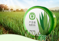 雅麗潔蘆薈膠多少錢(qián)？雅麗潔蘆薈膠好不好？