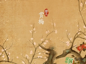 臘八節(jié)出生的女寶寶怎么取名？臘八節(jié)出生的男寶寶怎么取名？