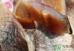 腌臘魚(yú)放多少鹽?腌一斤臘魚(yú)放多少鹽?