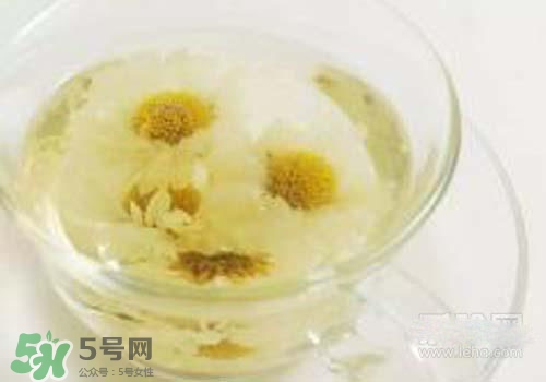 菊花茶什么時(shí)候喝最好？菊花茶什么季節(jié)喝最好？