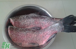 新鮮魚怎么腌制咸魚塊？咸魚塊怎么腌制
