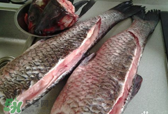 新鮮魚怎么腌制咸魚塊？咸魚塊怎么腌制