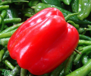 辣椒變紅能吃嗎？辣椒為什么會變紅？