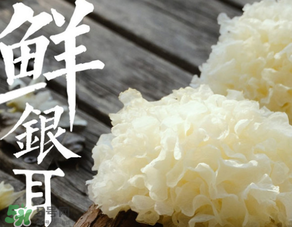 新鮮銀耳有毒嗎？新鮮銀耳怎么去毒？