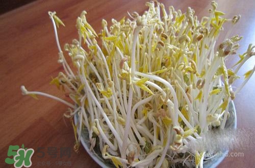 豆芽糖尿病可以吃嗎？糖尿病吃豆芽有什么好處？