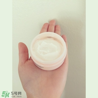 the body shop維e晚霜怎么用？美體小鋪維e晚霜使用方法