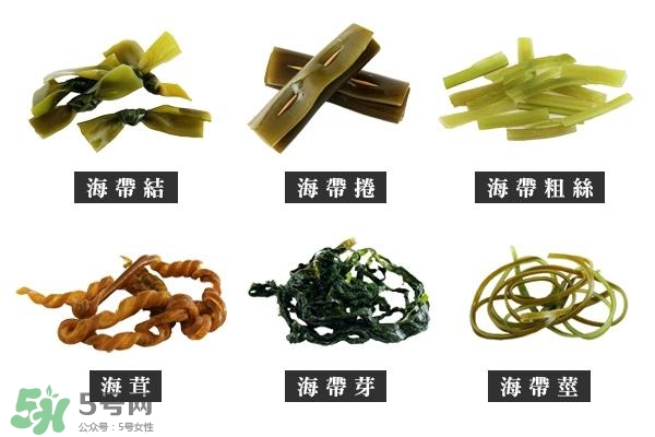 海帶上的白霜是什么？海帶上面有白色的東西那是什么
