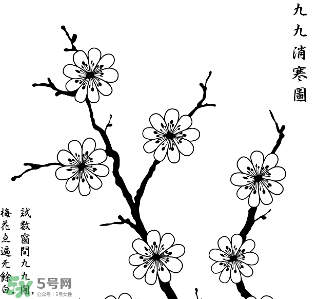 數(shù)九天什么時(shí)候最冷？數(shù)九天幾九最冷？