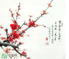 數(shù)九天什么時(shí)候最冷？數(shù)九天幾九最冷？