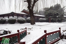 2017年過年會下雪嗎？2017年過年天氣情況