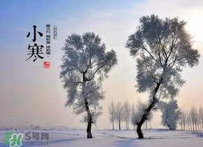 小寒和大寒哪個冷？小寒大寒什么意思？