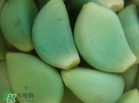 臘八醋里的蒜能吃嗎？臘八醋里的蒜好吃嗎？