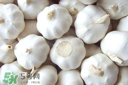 2017過年大蒜會漲價嗎？2017年春節(jié)大蒜價格預測