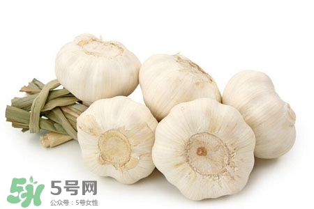 2017過年大蒜會漲價嗎？2017年春節(jié)大蒜價格預測