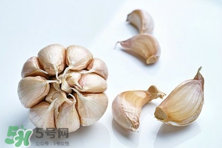 2017過年大蒜會漲價嗎？2017年春節(jié)大蒜價格預測