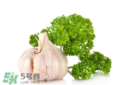 2017過年大蒜會漲價嗎？2017年春節(jié)大蒜價格預測