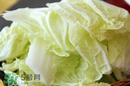 2017過(guò)年白菜會(huì)漲價(jià)嗎？2017年春節(jié)白菜價(jià)格預(yù)測(cè)