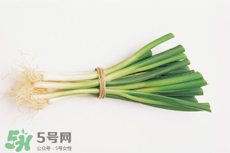 2017過年大蔥會漲價嗎？2017年春節(jié)大蔥價格預(yù)測