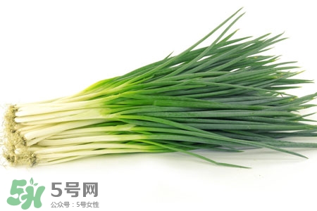 2017過(guò)年小蔥會(huì)漲價(jià)嗎？2017年春節(jié)小蔥價(jià)格預(yù)測(cè)