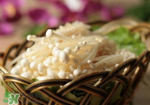 金針菇不能和什么一起吃？金針菇的食用禁忌