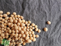 對心臟有益的食物有哪些？對心臟有好處的食物大全
